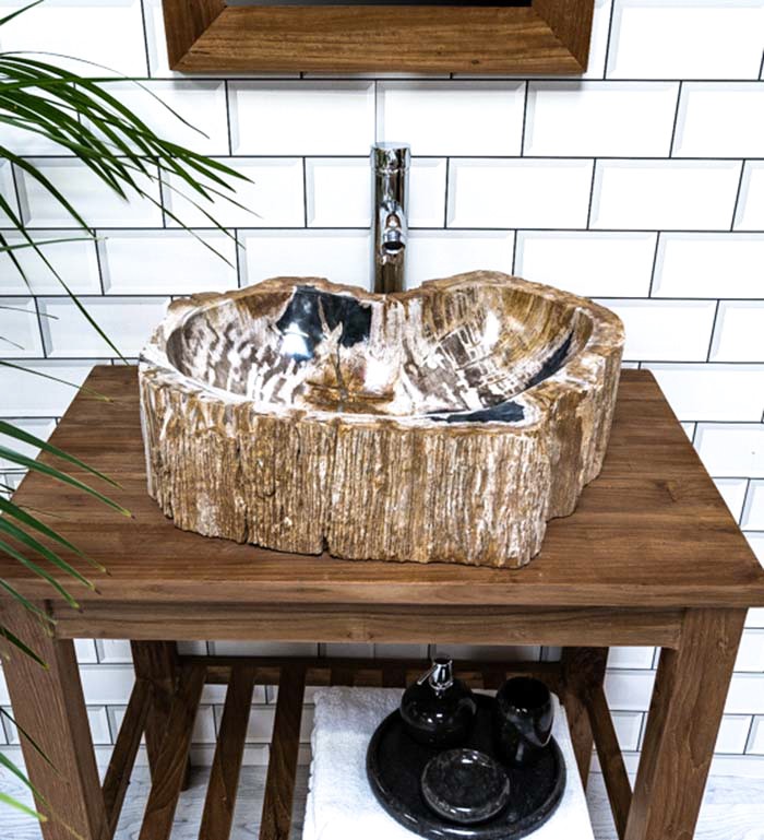 Petrified Wood Basins